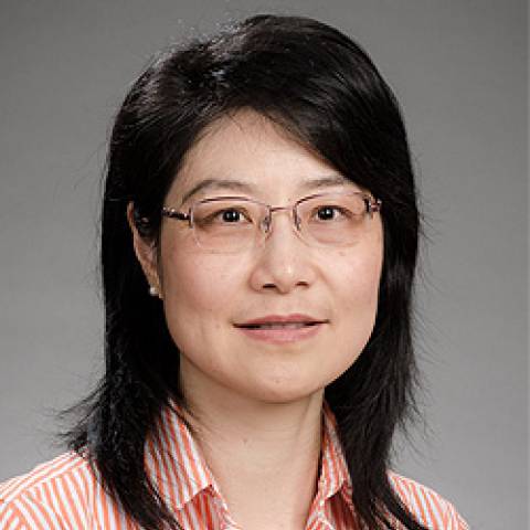 Provider headshot of Min Fang M.D., Ph.D.